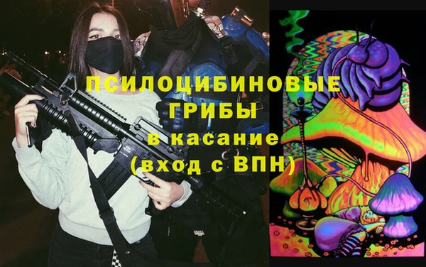 гашиш Богданович