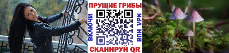 Галлюциногенные грибы Psilocybe  где купить наркоту  Нефтекамск 