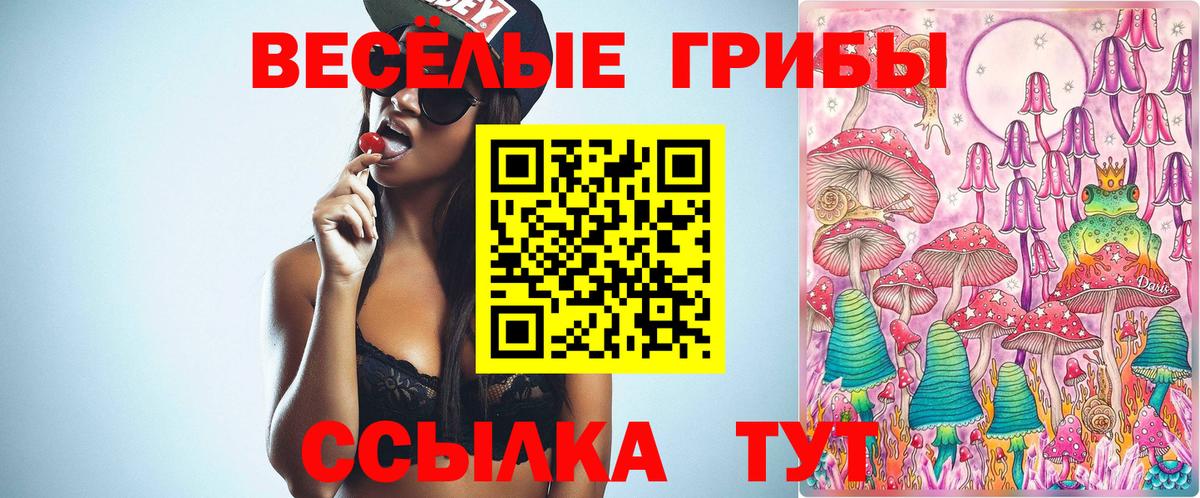 Галлюциногенные грибы GOLDEN TEACHER  Псилоцибиновые грибы Psilocybine cubensis  Нефтекамск  Вход с VPN 